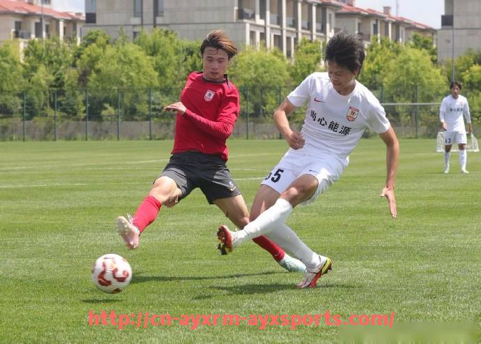 爱游戏体育-世俱杯历届比赛观众人数变化趋势与分析