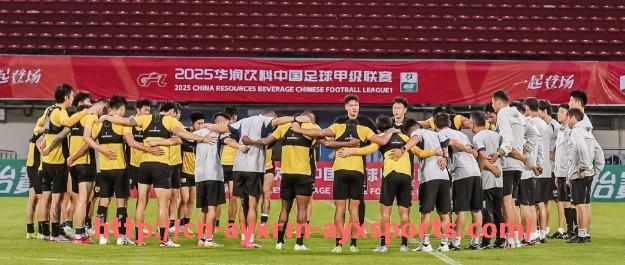 爱游戏体育-世俱杯比赛犯规次数年际对比分析与规则适应性研究