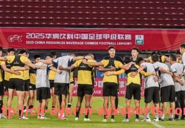 爱游戏体育-世俱杯比赛犯规次数年际对比分析与规则适应性研究