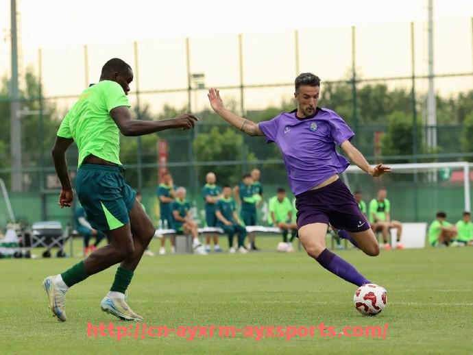 爱游戏体育-西甲积分榜最新排行及强弱队分布图解